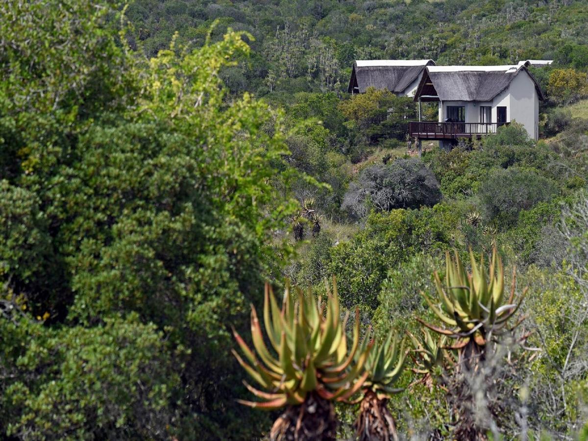 Burlington Bush Cottages By The Oyster Collection Salem Luaran gambar